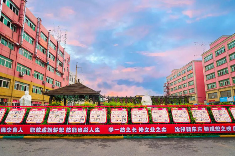 1702779125406478.jpg 4.jpg