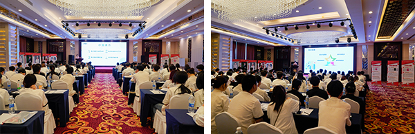 1704162737124809.jpg 10.jpg