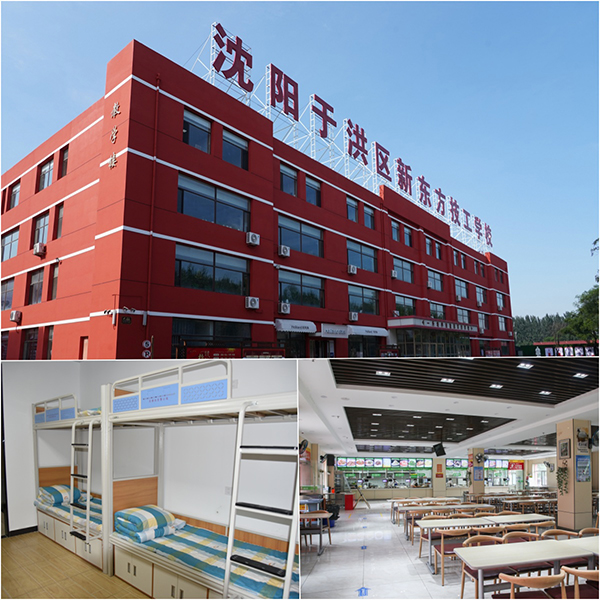 1726120985126040.jpg 04.jpg