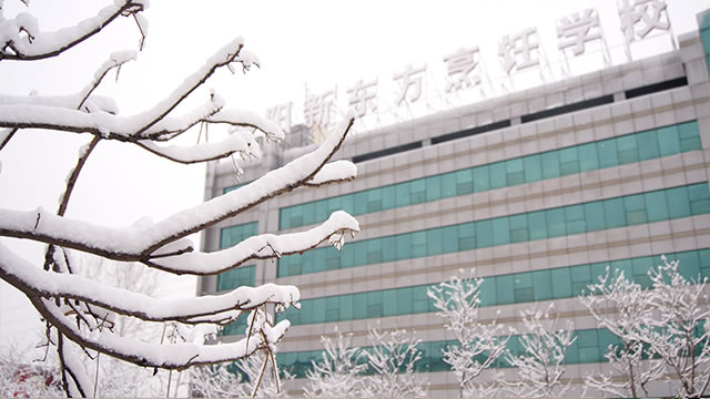 ����ѩ��