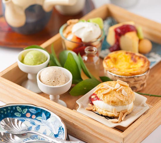 ��ʽ����