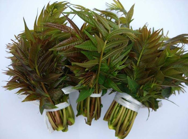 �W(xu��)�N��