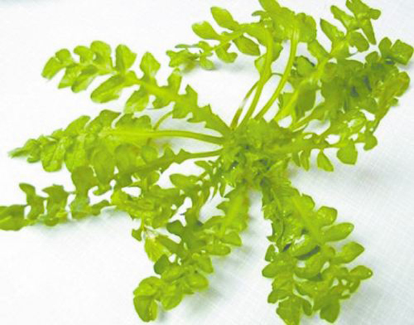 �W(xu��)�N��