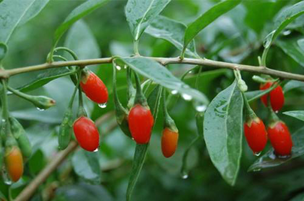 �W(xu��)�N��