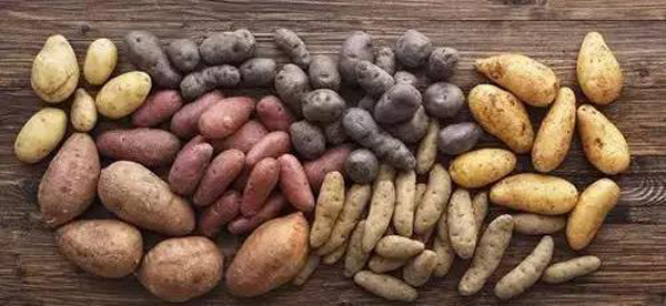 �W(xu��)�N��