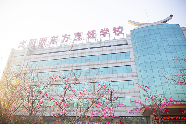 ������c(di��n)��Ӗ(x��n)